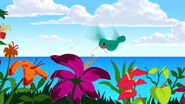 Aloha-scooby-doo-movie-screencaps.com-24