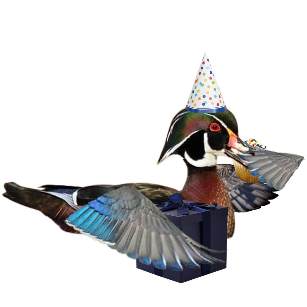Birthday Duck | The Parody Wiki | Fandom