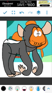 Dennis- Common Chimpanzee