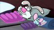 Daisy and Squeeks are sleeping in Nature Scaredy Cat