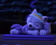Paw Patrol Everest sleeping v2