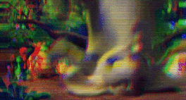 SeCMD4m