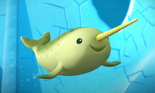 Octo narwhal