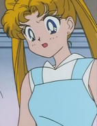 Serena/Sailor Moon as Louie's Parents