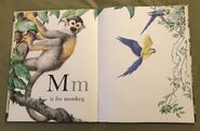 The A to Z Book of Wild Animals (12)