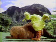 Episode 1094- Snuffy takes a rest near Mount Snuffleupagus to match his body shape of the mountain