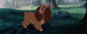 Lady-tramp-disneyscreencaps