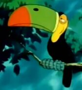 Toco Toucan