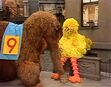 Episode 1130- Big Bird drifts off to sleep, just before Snuffy arrives and slurps down the juice