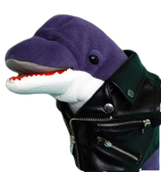 Loan Dolphin PNG.png