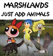 MRSHLNDS-JAA Poster.png