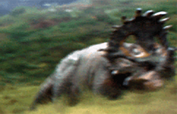 Mystery Ceratopsian Land.png
