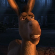 SHKAPDonkey