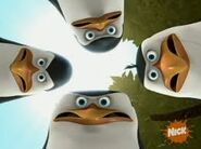 Angry Penguins