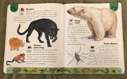 Deadly Creatures Dictionary (17)