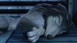 Humphrey (Alpha and Omega) sleeping