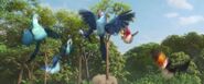 Rio2-disneyscreencaps.com-10117