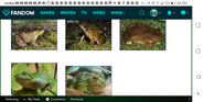 Screenshot 2019-01-29-19-48-22