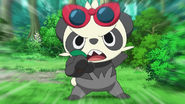 Serena's Pancham