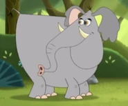 Shep as African Bush Elephant