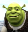Shrek in Shrek the Third (Video Game)