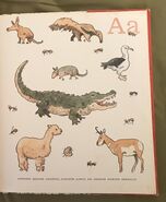 8- An Animal Alphabet (1)
