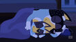 Bluey and Bandit sleeping