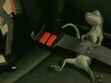 GEICO Gecko was sleeping in the car