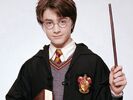 Harry Potter as Adam