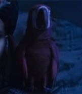 Iago in Aladdin (2019)