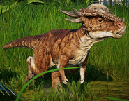 Stygimoloch spinifer