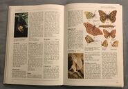 The Kingfisher Illustrated Encyclopedia of Animals (56)