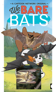 We Bare Bats Poster