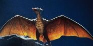 Rodan as Real Animal Dweeb