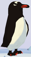 Gentoo Penguin WOZ