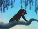 Jungle-cubs-volume03-bagheera03