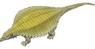 Paratypothorax as Saltasaurus