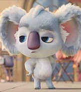 Pretty-boy-back-to-the-outback-6.04.jpg (9 KB)