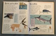 The Kingfisher First Animal Encyclopedia (69)