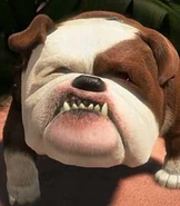 Gamma in Up