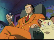 as Tiger's Eye