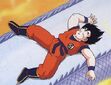 Goku zzzzzzz
