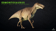 Edmontosaurus annectens/regalis/kuukpikensis