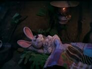 Peter Cottontail was sleeping in bed
