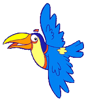 Toucan1