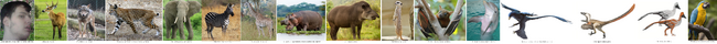 DinosaursRoar's Animal Farm Parody.png