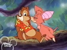 Foxglove Hitting on Dale.jpg