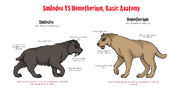 Homotherium vs Smilodon