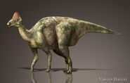 Hypacrosaurus