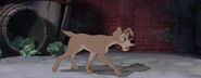 Lady-tramp-disneyscreencaps.com-4233